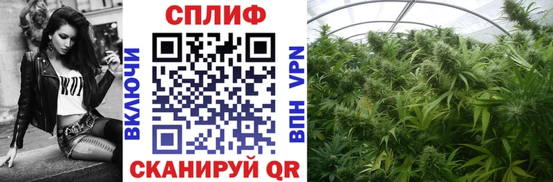 Конопля сатива  купить закладку  Нытва 